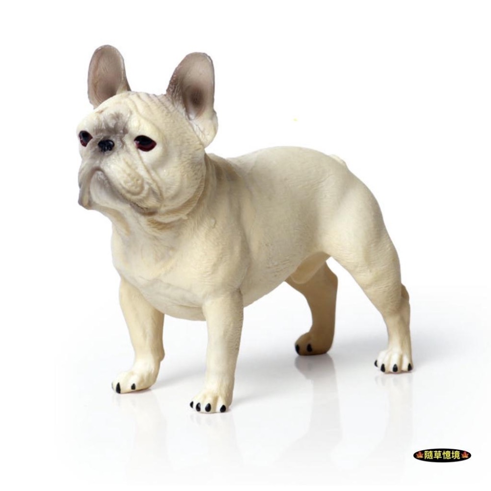 （高品質畫工）仿真 法國鬥牛犬 法鬥 狗狗 小狗 寵物狗 動物模型 野生動物 兒童玩具 益智 公仔 SPG-細節圖5