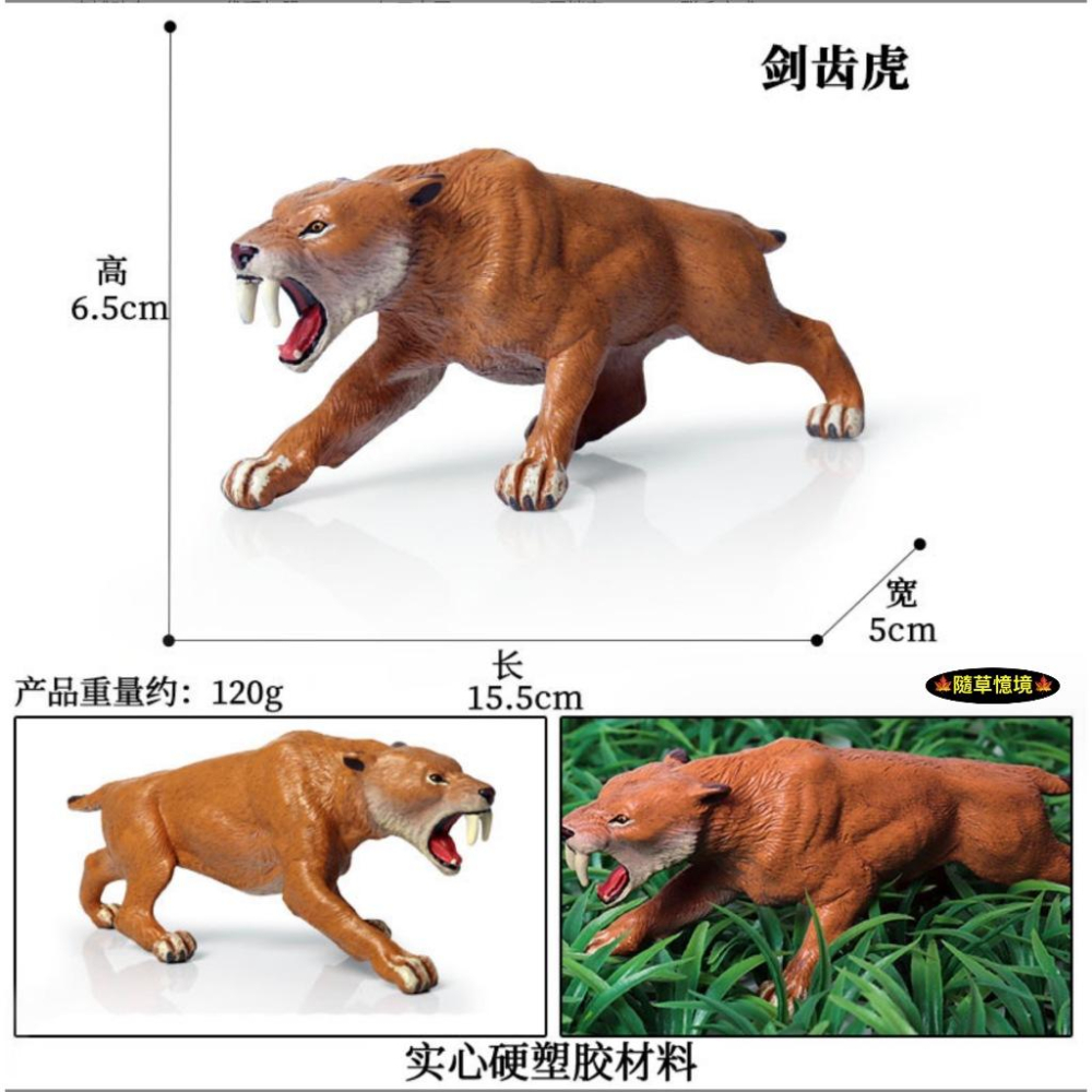 仿真 劍齒虎 刃齒虎 老虎 虎 史前 冰河時期 動物模型 野生動物 益智 公仔 SPG-細節圖5