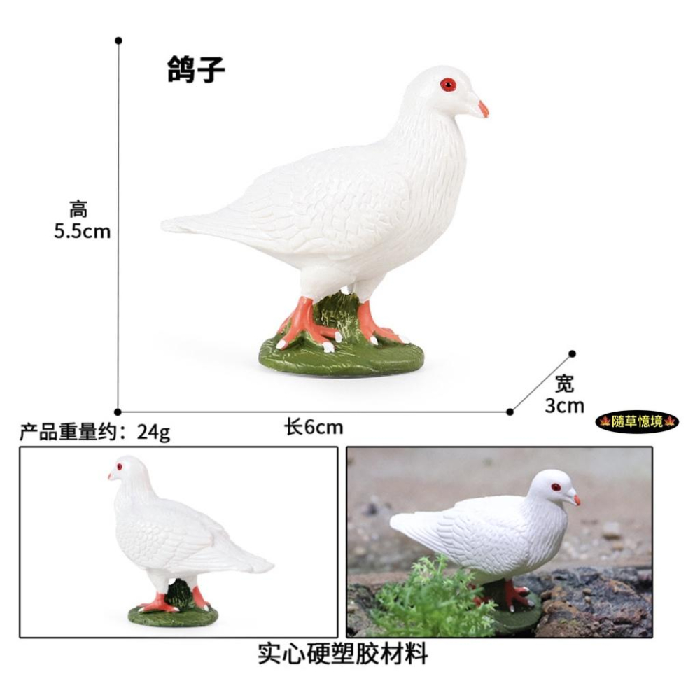 （3色款高品質畫工）仿真 鴿子 賽鴿 信鴿 白鴿 廣場鴿子 早教動物 鳥類 鳥 野生動物 兒童 益智 模型 SPG-細節圖4