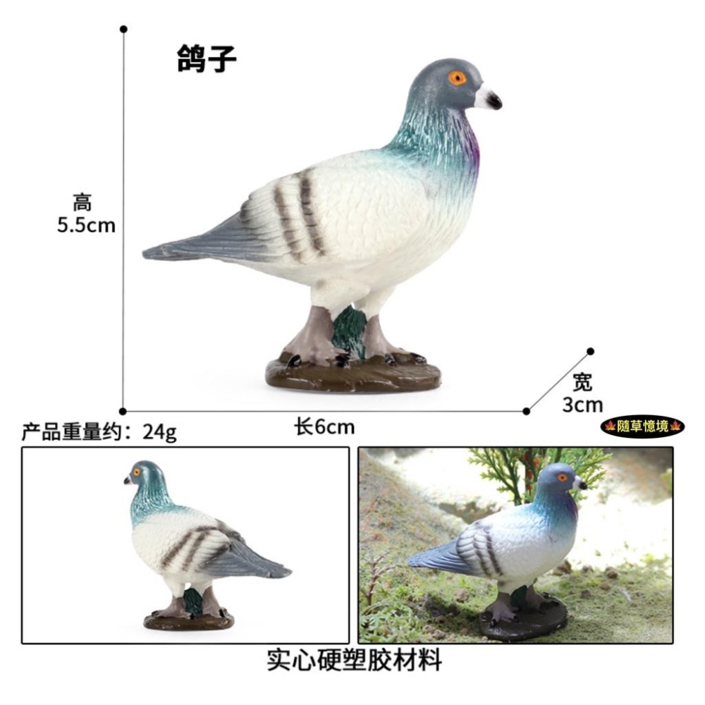 （3色款高品質畫工）仿真 鴿子 賽鴿 信鴿 白鴿 廣場鴿子 早教動物 鳥類 鳥 野生動物 兒童 益智 模型 SPG-細節圖7