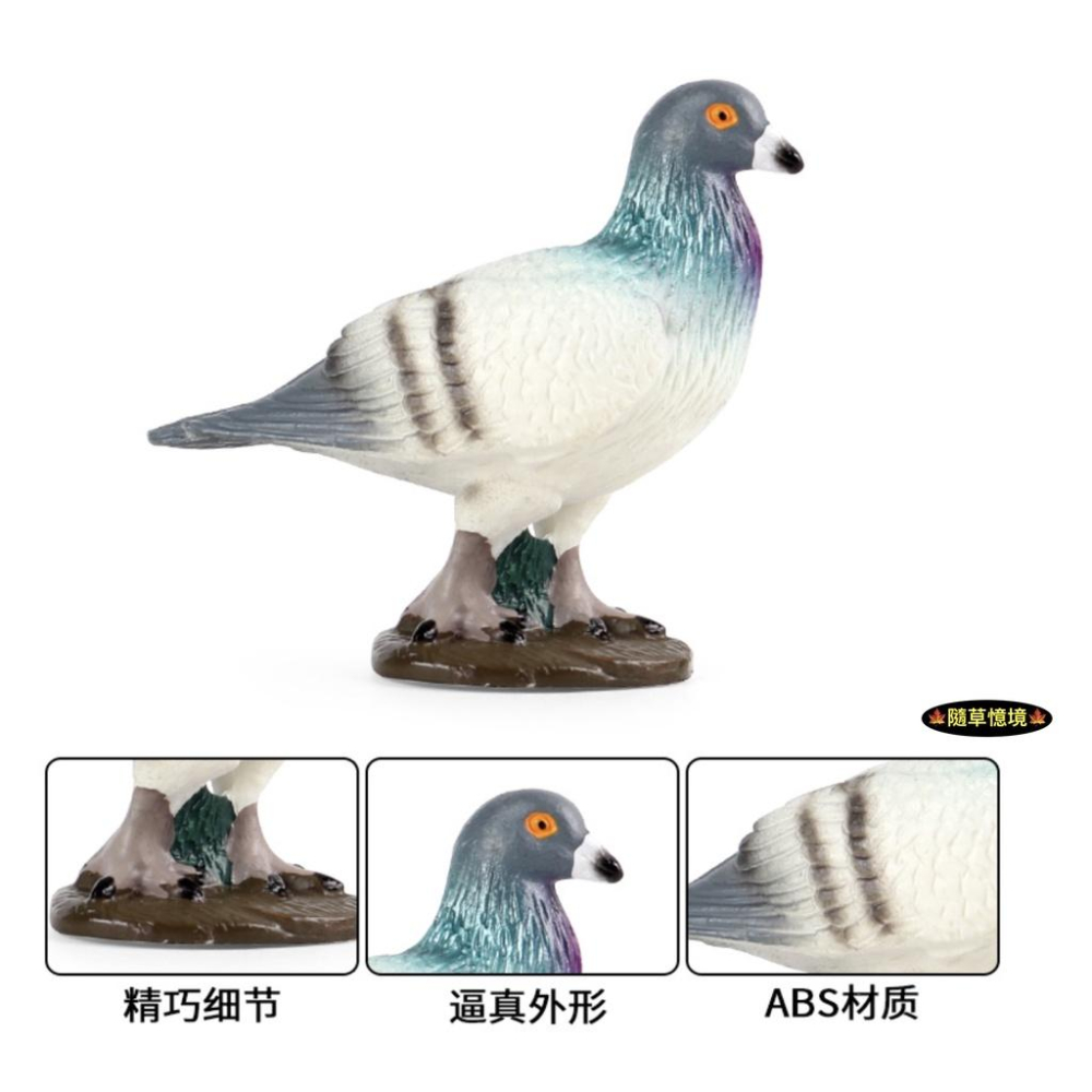 （3色款高品質畫工）仿真 鴿子 賽鴿 信鴿 白鴿 廣場鴿子 早教動物 鳥類 鳥 野生動物 兒童 益智 模型 SPG-細節圖8
