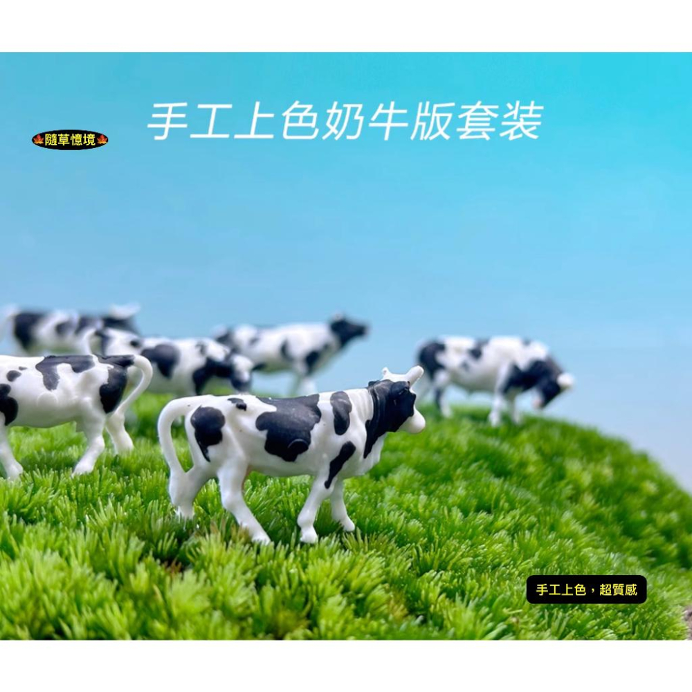 （極小奶牛/黃牛6件套裝）迷你仿真 奶牛 乳牛 黃牛 套裝 牛 牛群 微景觀 生態缸 苔蘚 多肉 花卉 擺件-細節圖2