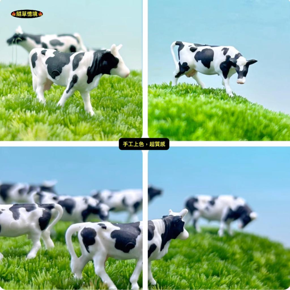 （極小奶牛/黃牛6件套裝）迷你仿真 奶牛 乳牛 黃牛 套裝 牛 牛群 微景觀 生態缸 苔蘚 多肉 花卉 擺件-細節圖3