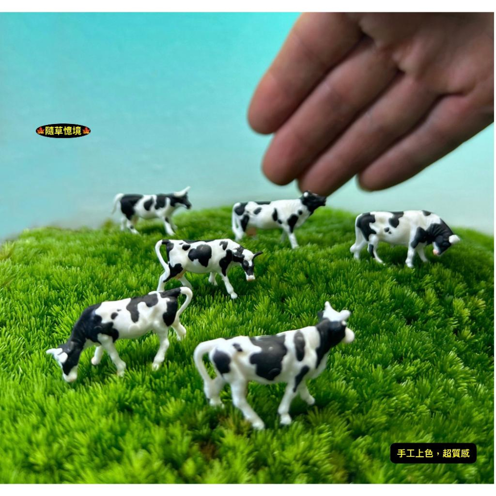 （極小奶牛/黃牛6件套裝）迷你仿真 奶牛 乳牛 黃牛 套裝 牛 牛群 微景觀 生態缸 苔蘚 多肉 花卉 擺件-細節圖5