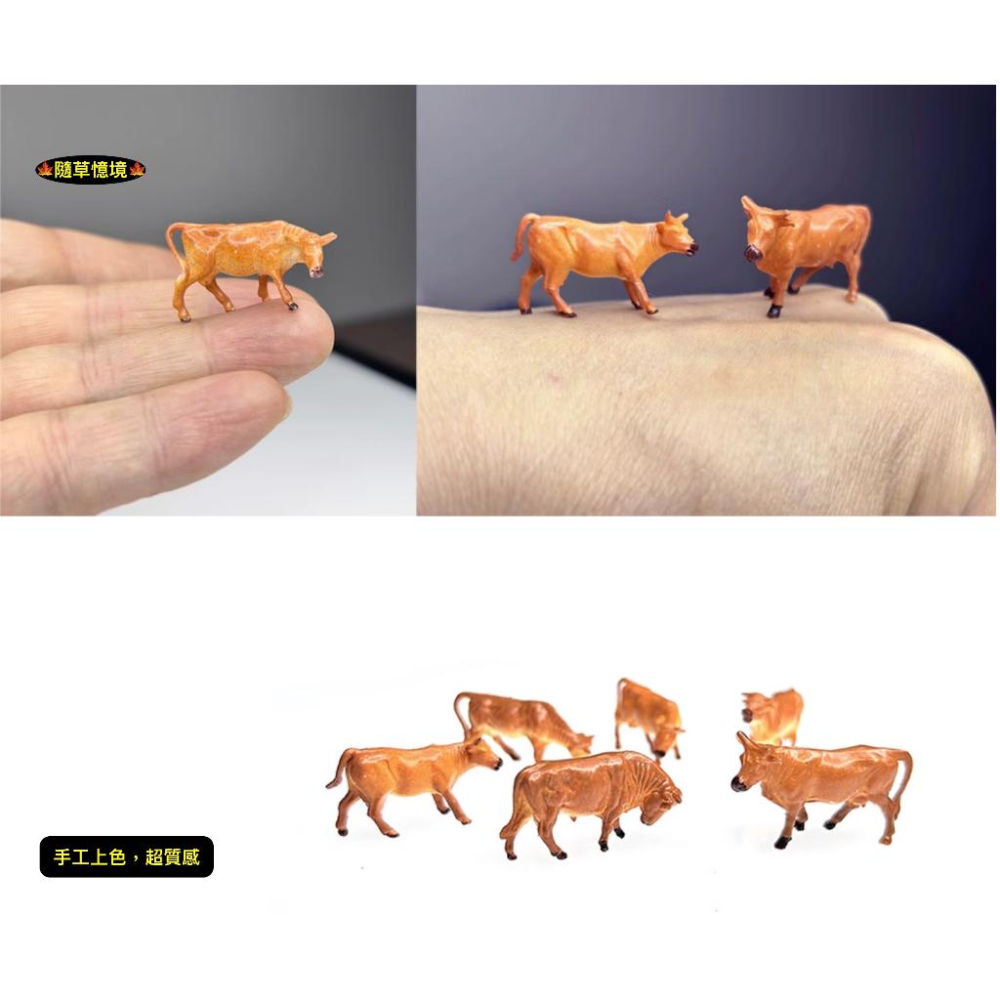 （極小奶牛/黃牛6件套裝）迷你仿真 奶牛 乳牛 黃牛 套裝 牛 牛群 微景觀 生態缸 苔蘚 多肉 花卉 擺件-細節圖8