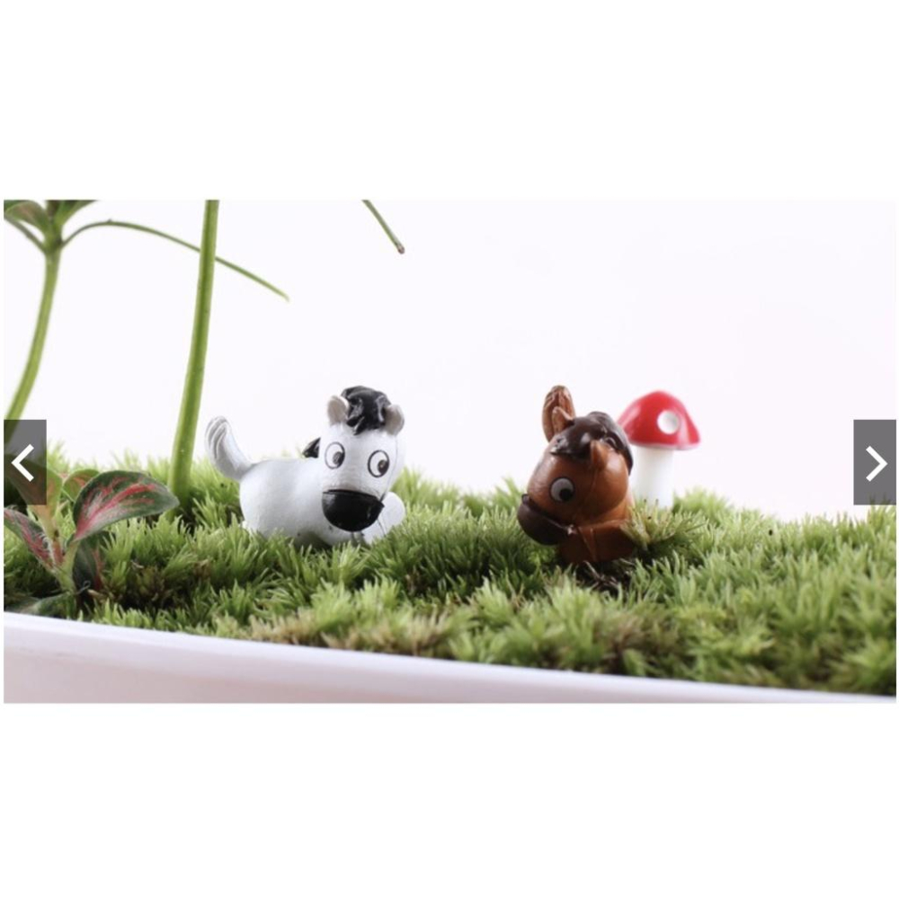 （1入/2入）臥姿 小馬 馬  可愛 pony 公仔 DIY 組裝 小擺件 玩具 苔蘚 微景觀 飾品 公仔-細節圖3
