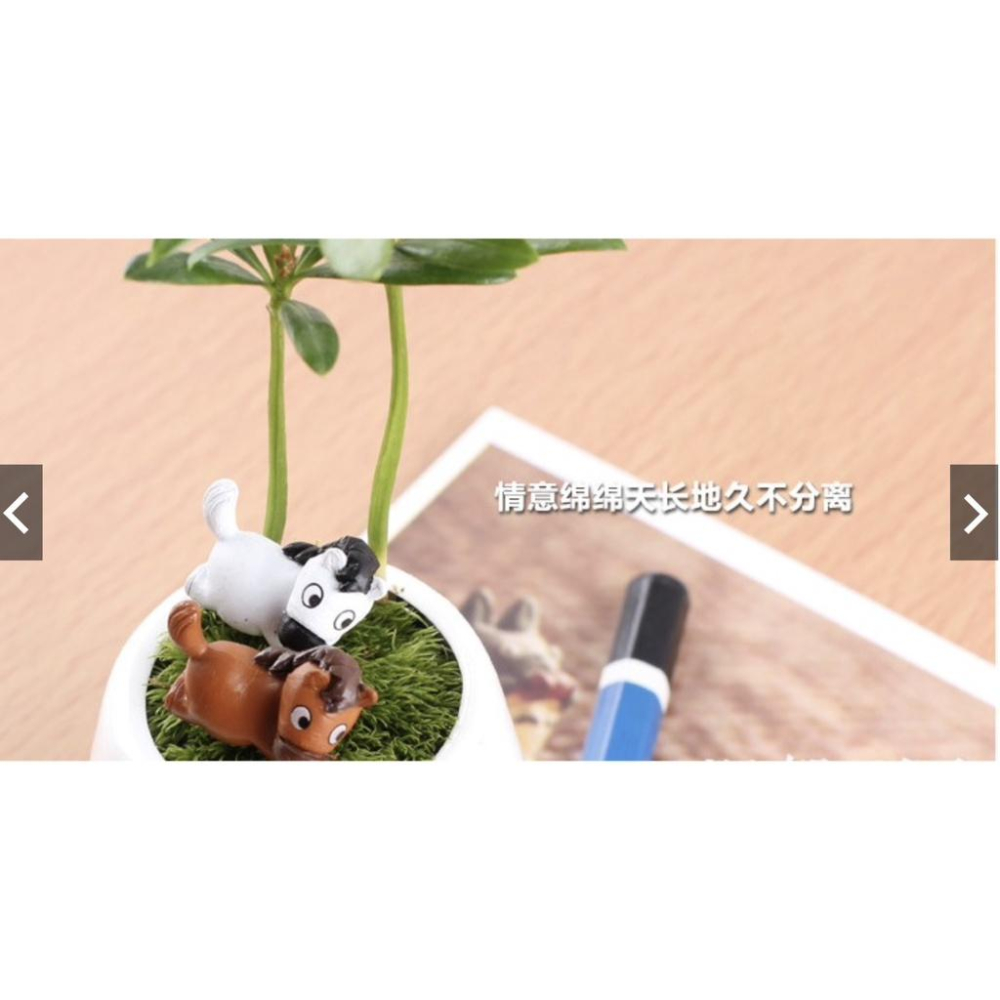 （1入/2入）臥姿 小馬 馬  可愛 pony 公仔 DIY 組裝 小擺件 玩具 苔蘚 微景觀 飾品 公仔-細節圖7