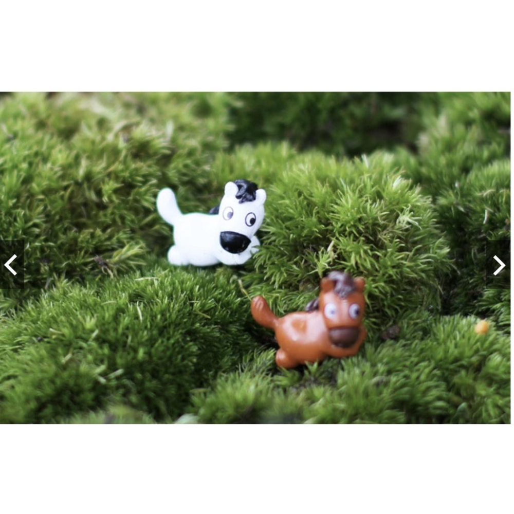 （1入/2入）臥姿 小馬 馬  可愛 pony 公仔 DIY 組裝 小擺件 玩具 苔蘚 微景觀 飾品 公仔-細節圖8