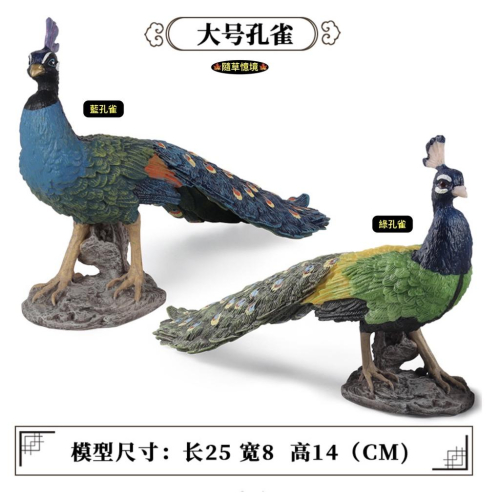 ★孔雀★ Amazon.com: 孔雀: フォトブック (Japanese Edition