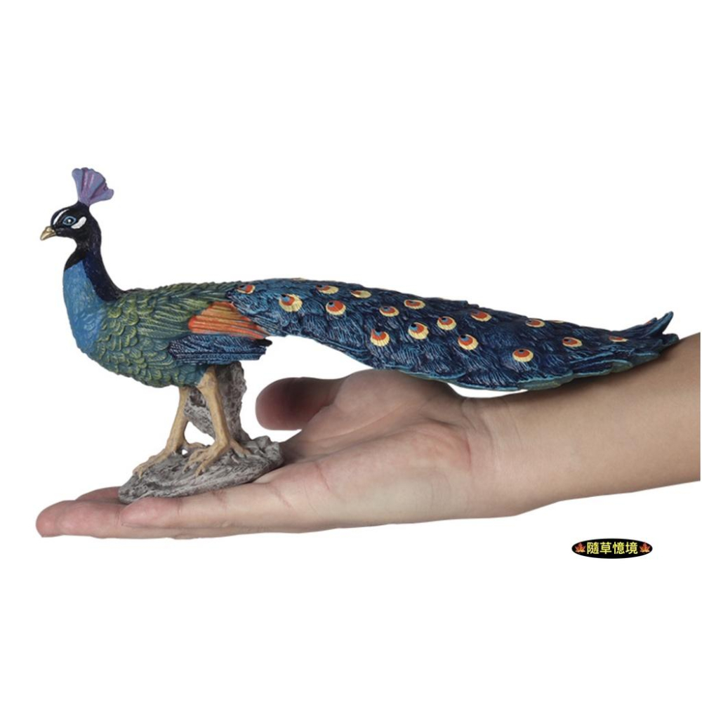 仿真孔雀藍孔雀綠孔雀大號鳥類雞飛禽動物模型野生動物兒童玩具益