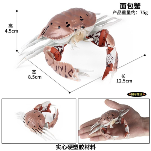（高品質畫工）仿真 麵包蟹 螃蟹 蟹 海洋動物 帝王蟹 動物模型 野生動物 兒童玩具 益智 公仔 SPG