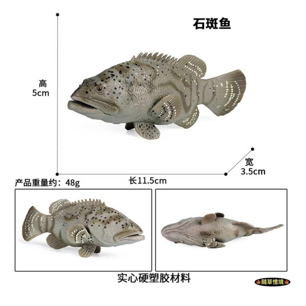 （高品質畫工）仿真 石斑魚 魚 海產 海洋生物 動物模型 野生動物 兒童玩具 兒童科教 認知 益智 spg-細節圖3