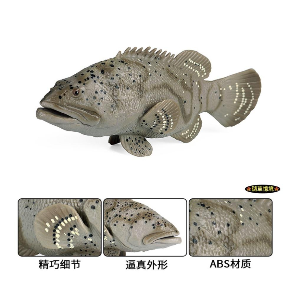 （高品質畫工）仿真 石斑魚 魚 海產 海洋生物 動物模型 野生動物 兒童玩具 兒童科教 認知 益智 spg-細節圖4