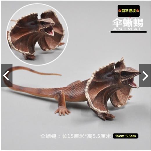 （稀有）SPG 正版 傘蜥蜴 蜥蜴 傘蜥 爬蟲類 仿真 動物模型 野生動物 兒童玩具 益智 公仔-細節圖2