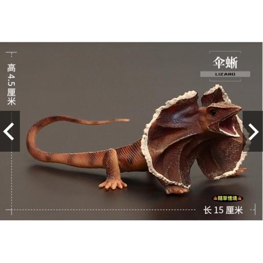 （稀有）SPG 正版 傘蜥蜴 蜥蜴 傘蜥 爬蟲類 仿真 動物模型 野生動物 兒童玩具 益智 公仔-細節圖4