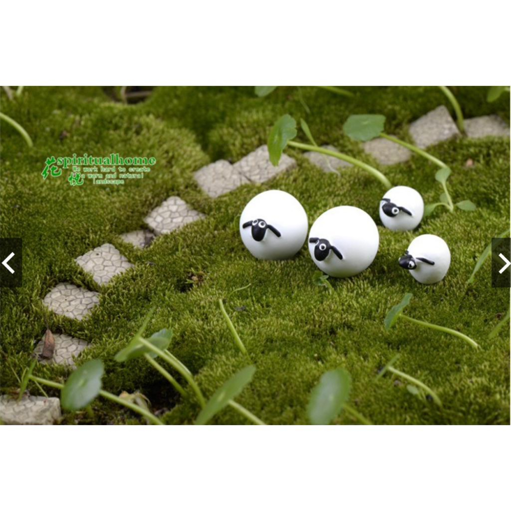 （一組3款式）樹脂 可愛版 肖恩 綿羊 公仔 羊 苔蘚微景觀多肉花盆 生態瓶裝飾擺件DIY材料-細節圖2