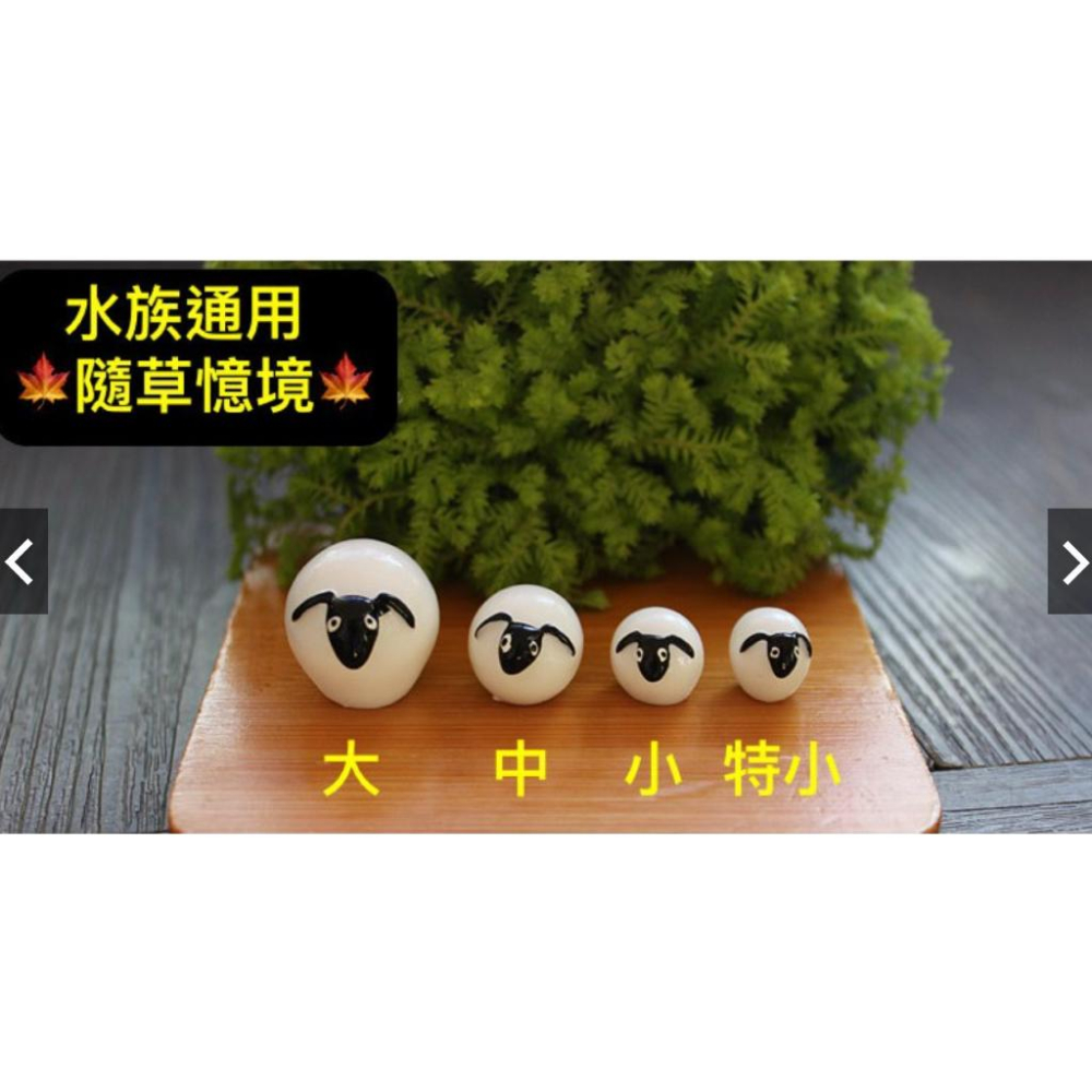（一組3款式）樹脂 可愛版 肖恩 綿羊 公仔 羊 苔蘚微景觀多肉花盆 生態瓶裝飾擺件DIY材料-細節圖3