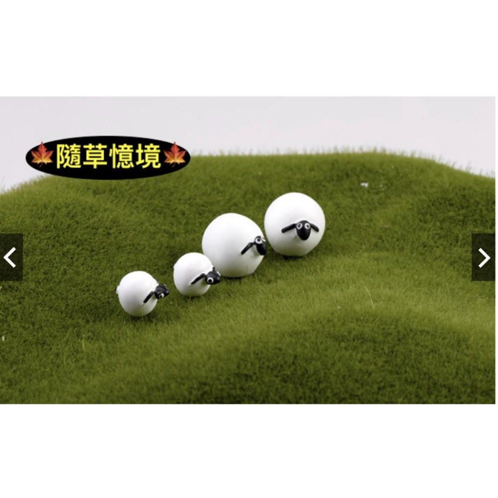 （一組3款式）樹脂 可愛版 肖恩 綿羊 公仔 羊 苔蘚微景觀多肉花盆 生態瓶裝飾擺件DIY材料-細節圖5