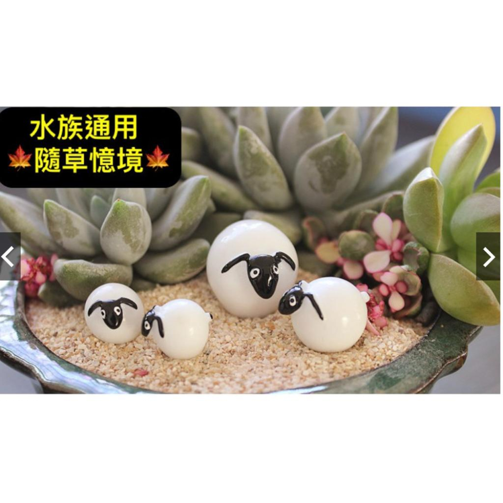 （一組3款式）樹脂 可愛版 肖恩 綿羊 公仔 羊 苔蘚微景觀多肉花盆 生態瓶裝飾擺件DIY材料-細節圖8