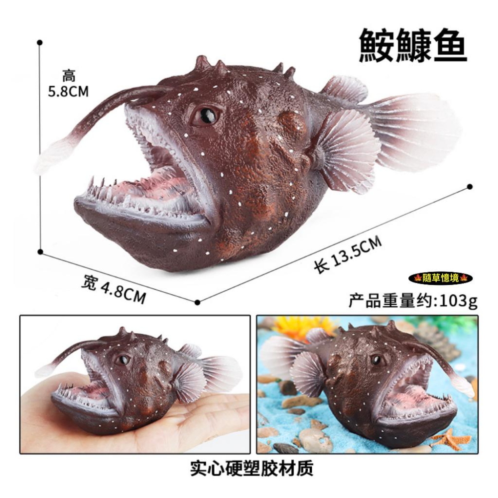 （高品質畫工）迷你仿真 鮟鱇魚 鮟鱇 深海魚 安康魚 老頭魚 琵琶魚 黑魔鬼 動物模型 野生動物 SPG-細節圖3