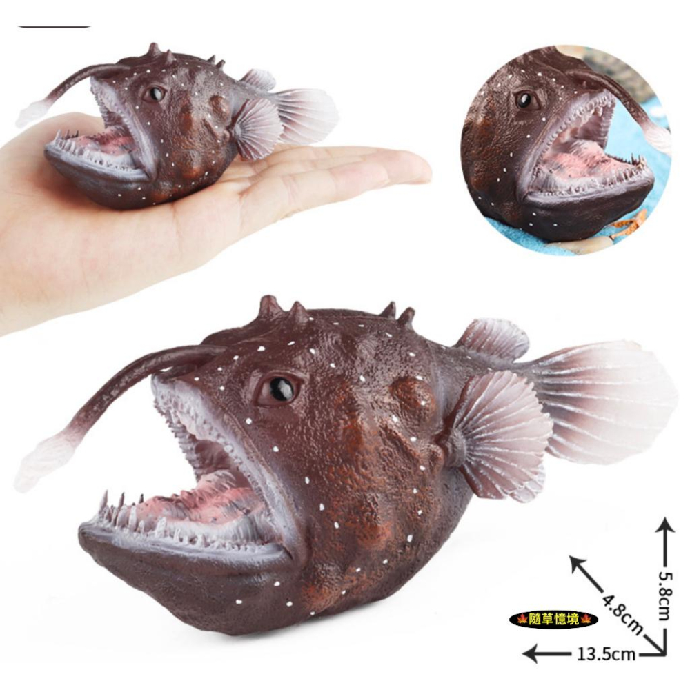 （高品質畫工）迷你仿真 鮟鱇魚 鮟鱇 深海魚 安康魚 老頭魚 琵琶魚 黑魔鬼 動物模型 野生動物 SPG-細節圖4