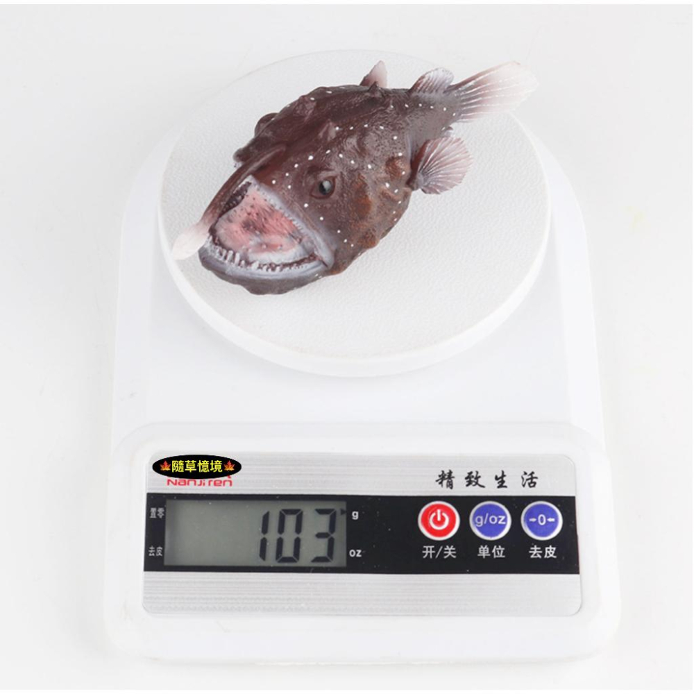 （高品質畫工）迷你仿真 鮟鱇魚 鮟鱇 深海魚 安康魚 老頭魚 琵琶魚 黑魔鬼 動物模型 野生動物 SPG-細節圖5