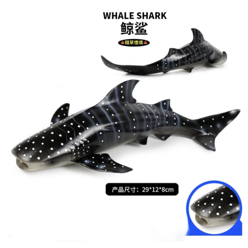 （高品質畫工）仿真 大號 鯨鯊 鯨魚 鯨 海洋世界 海洋生物 動物模型 野生動物 兒童 益智 公仔 SPG