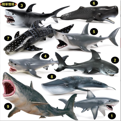 （9款大號）仿真 鯊魚 大白鯊 巨齒鯊 鯨鯊 鯊 鯨魚 抹香鯨 藍鯨 海洋 動物模型 玩具 益智 公仔 SPG
