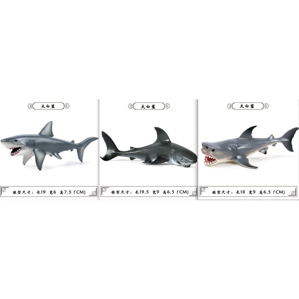 （9款大號）仿真 鯊魚 大白鯊 巨齒鯊 鯨鯊 鯊 鯨魚 抹香鯨 藍鯨 海洋 動物模型 玩具 益智 公仔 SPG-細節圖3