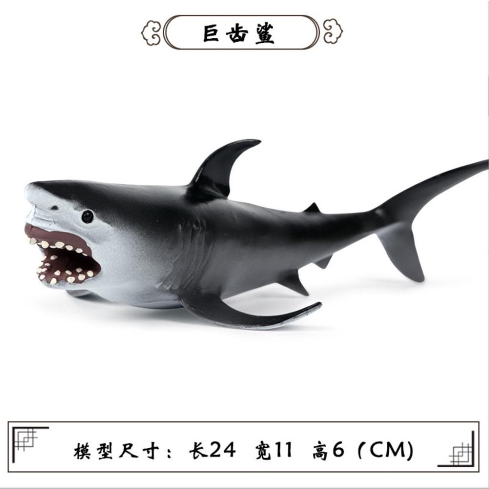 （9款大號）仿真 鯊魚 大白鯊 巨齒鯊 鯨鯊 鯊 鯨魚 抹香鯨 藍鯨 海洋 動物模型 玩具 益智 公仔 SPG-細節圖5