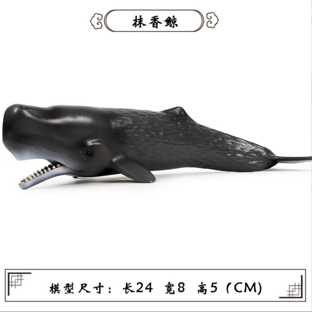 （9款大號）仿真 鯊魚 大白鯊 巨齒鯊 鯨鯊 鯊 鯨魚 抹香鯨 藍鯨 海洋 動物模型 玩具 益智 公仔 SPG-細節圖6