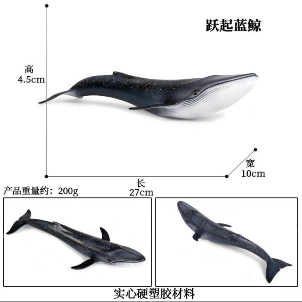 （9款大號）仿真 鯊魚 大白鯊 巨齒鯊 鯨鯊 鯊 鯨魚 抹香鯨 藍鯨 海洋 動物模型 玩具 益智 公仔 SPG-細節圖8