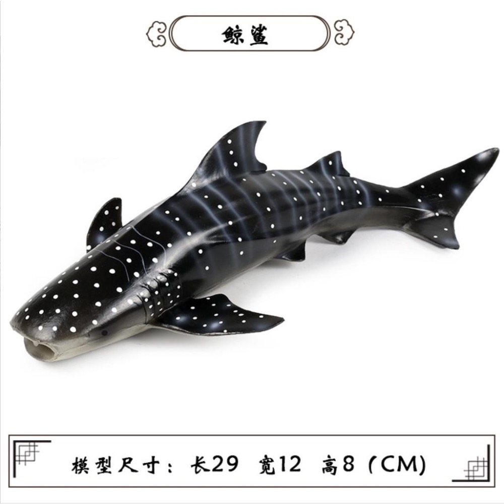 （9款大號）仿真 鯊魚 大白鯊 巨齒鯊 鯨鯊 鯊 鯨魚 抹香鯨 藍鯨 海洋 動物模型 玩具 益智 公仔 SPG-細節圖9