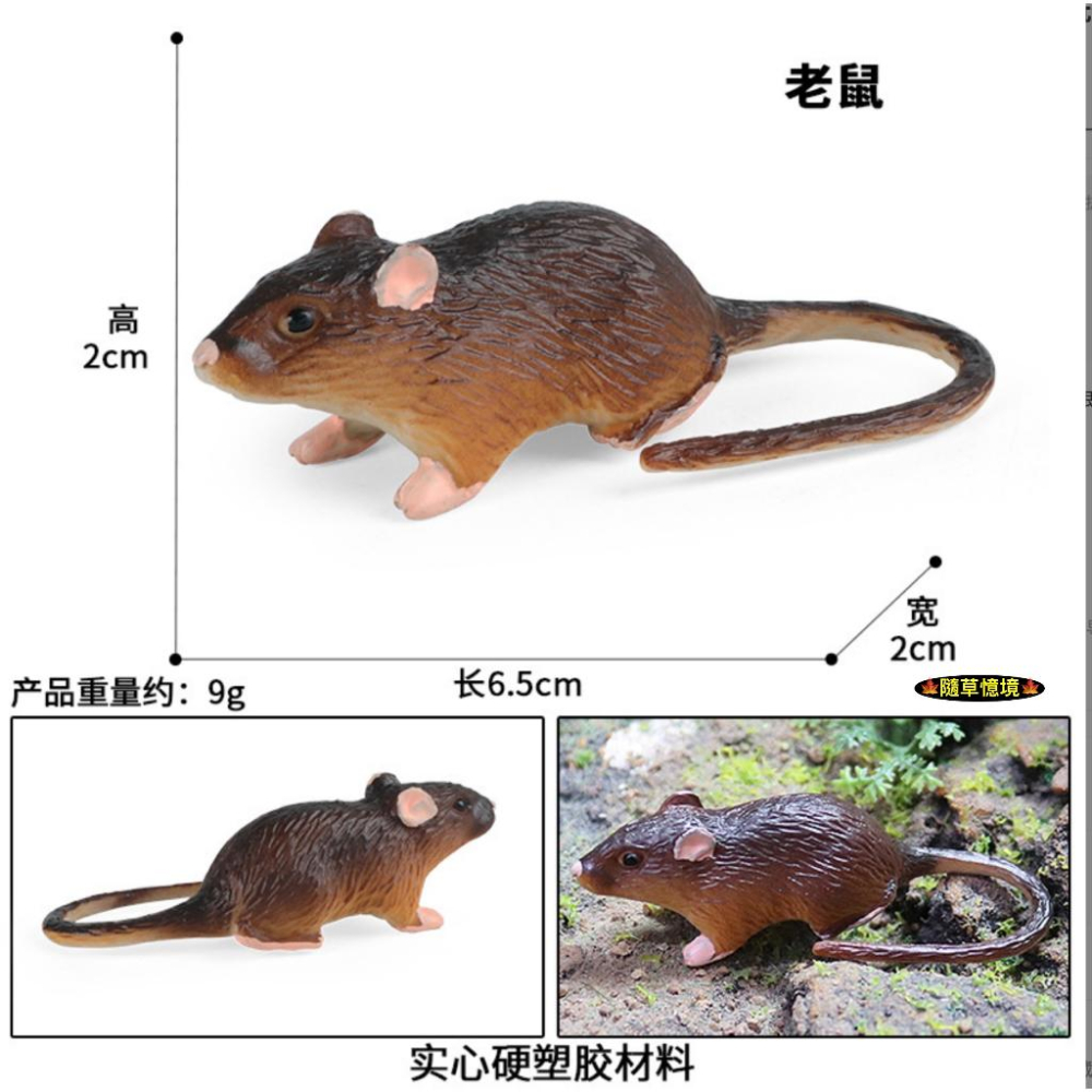 （3款高品質畫工）仿真 小老鼠 老鼠 鼠 白老鼠 小白鼠 耗子 倉鼠 動物模型 野生動物 兒童 益智 SPG-細節圖3