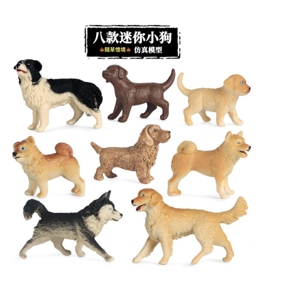 （8款超值）仿真 柴犬 哈士奇 黃金獵犬 金毛 邊境牧羊犬 臘腸 獵犬 小狗 狗狗 名犬 模型 玩具 公仔 SPG-細節圖2