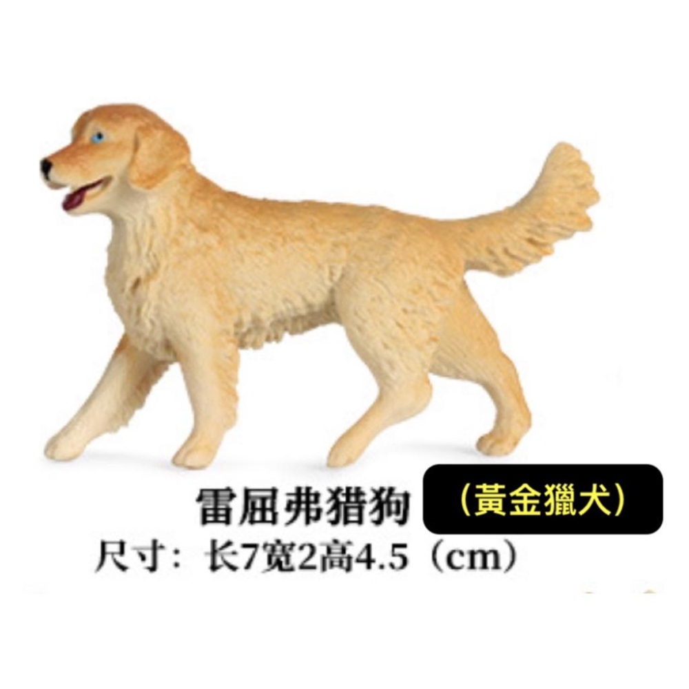 （8款超值）仿真 柴犬 哈士奇 黃金獵犬 金毛 邊境牧羊犬 臘腸 獵犬 小狗 狗狗 名犬 模型 玩具 公仔 SPG-細節圖3