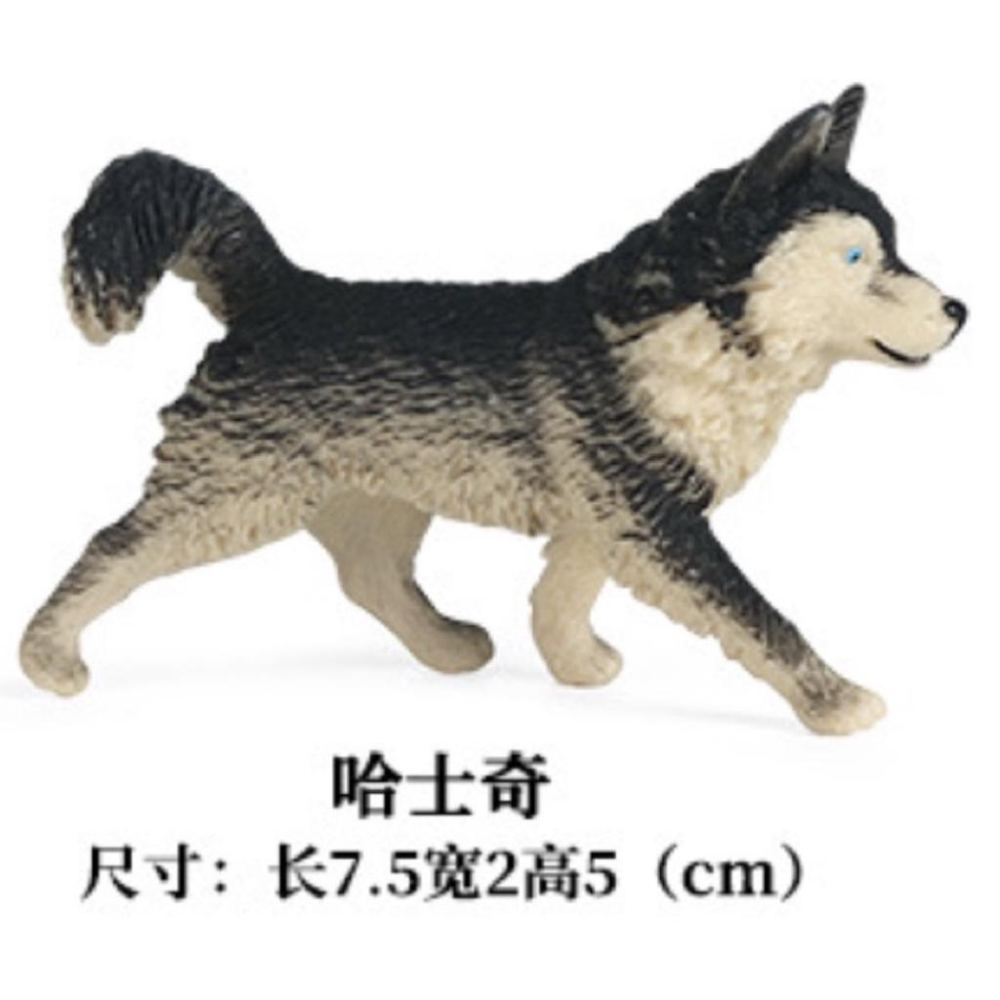 （8款超值）仿真 柴犬 哈士奇 黃金獵犬 金毛 邊境牧羊犬 臘腸 獵犬 小狗 狗狗 名犬 模型 玩具 公仔 SPG-細節圖4