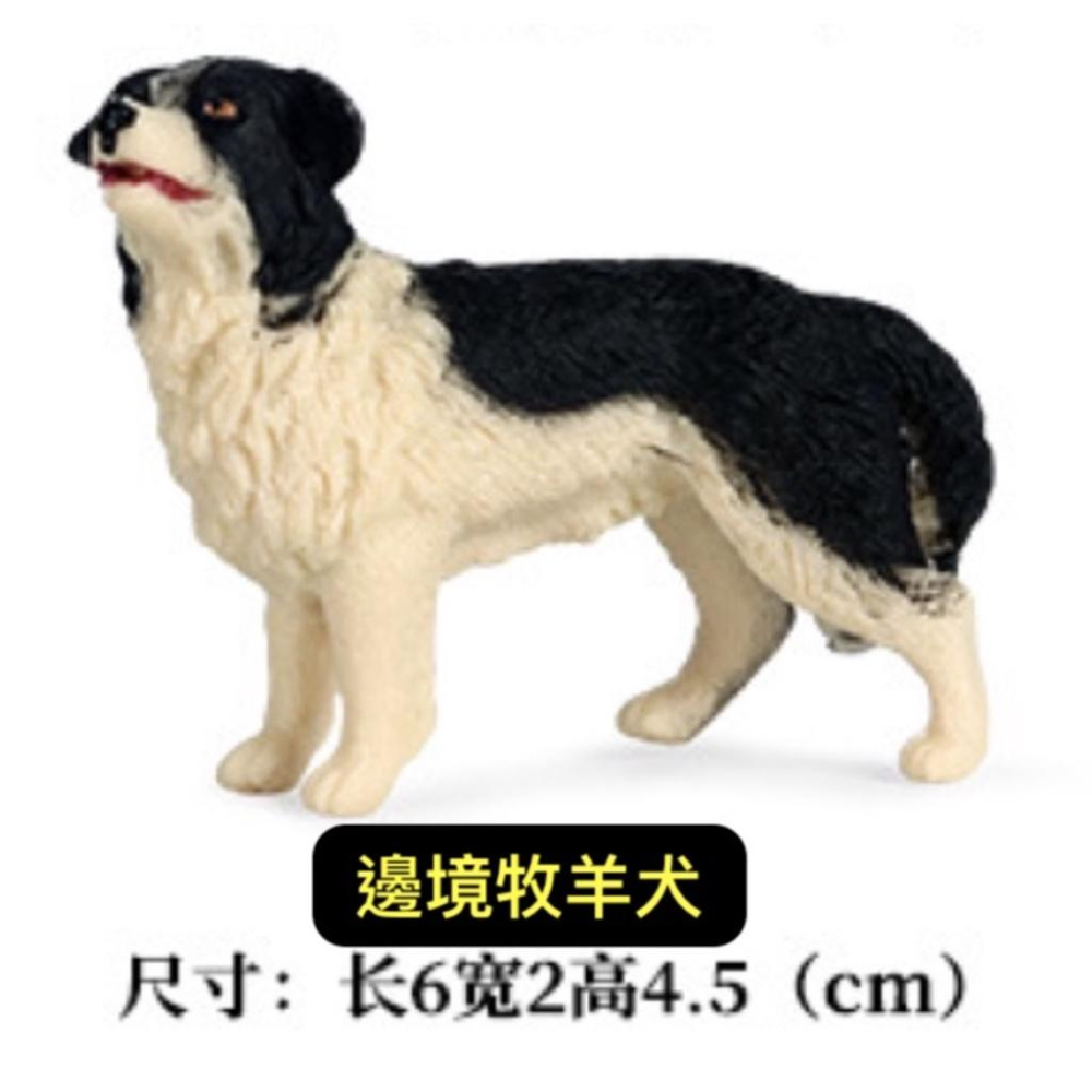 （8款超值）仿真 柴犬 哈士奇 黃金獵犬 金毛 邊境牧羊犬 臘腸 獵犬 小狗 狗狗 名犬 模型 玩具 公仔 SPG-細節圖5
