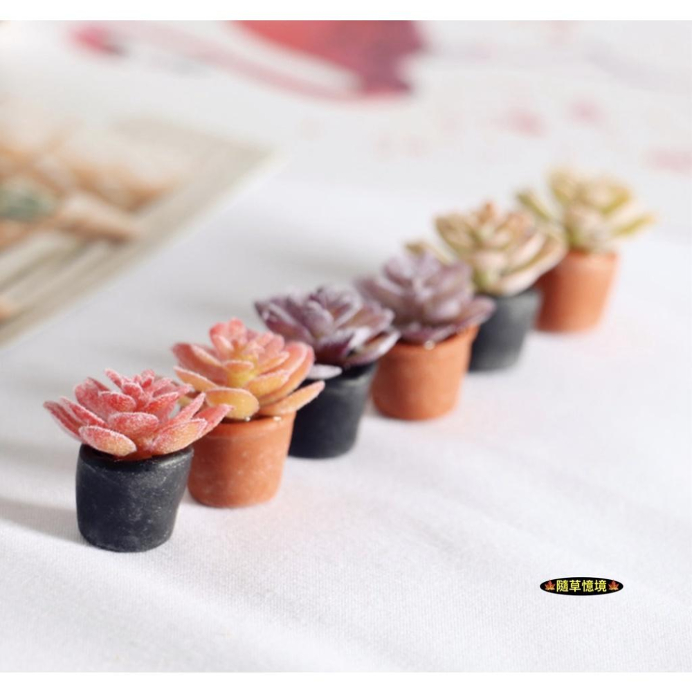 （18款）迷你仿真 彩色 多肉 睡蓮 植物 盆栽 花盆 景天科 BJD 袖珍 食玩 微縮場景 微景觀 模型-細節圖3