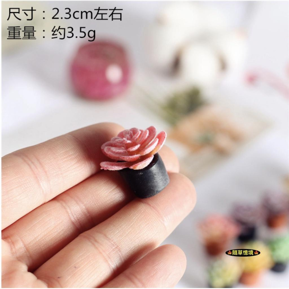 （18款）迷你仿真 彩色 多肉 睡蓮 植物 盆栽 花盆 景天科 BJD 袖珍 食玩 微縮場景 微景觀 模型-細節圖4