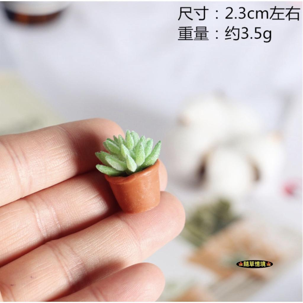 （18款）迷你仿真 彩色 多肉 睡蓮 植物 盆栽 花盆 景天科 BJD 袖珍 食玩 微縮場景 微景觀 模型-細節圖5