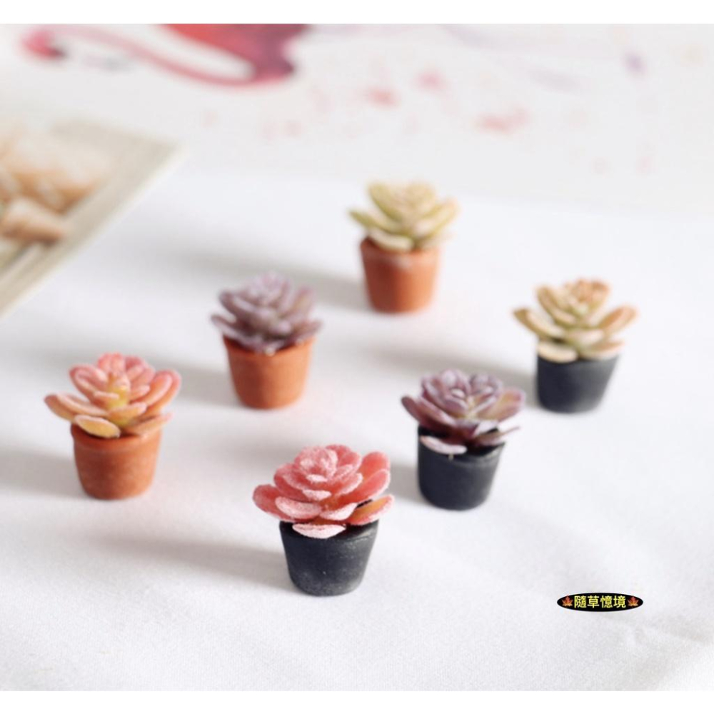 （18款）迷你仿真 彩色 多肉 睡蓮 植物 盆栽 花盆 景天科 BJD 袖珍 食玩 微縮場景 微景觀 模型-細節圖7