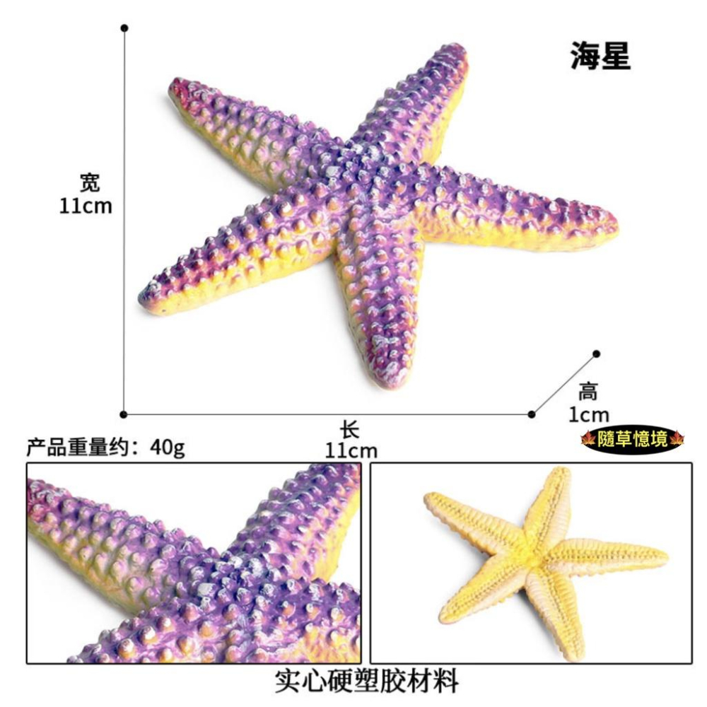 （高品質畫工）仿真 古生物 鸚鵡螺 海星 寄居蟹 海洋 動物模型 野生動物 兒童玩具 益智 公仔 SPG-細節圖6