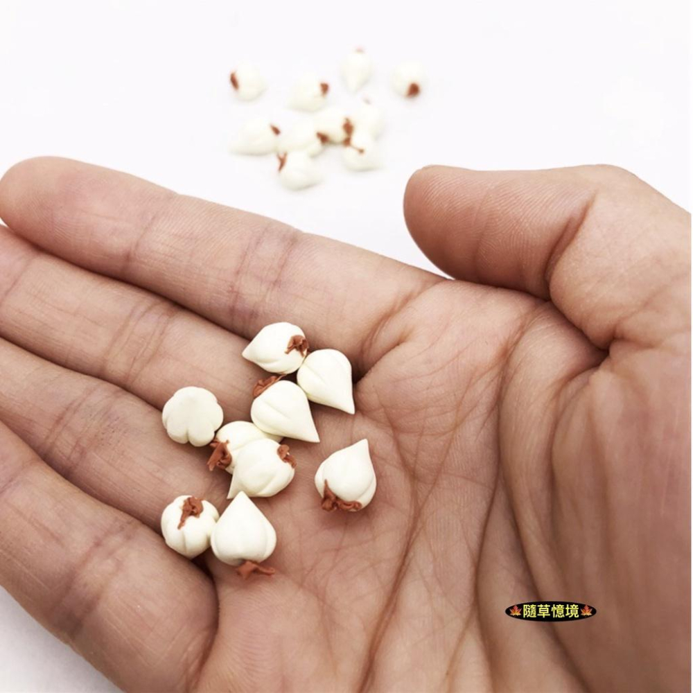 （2入/5入/10入）迷你仿真 大蒜 蒜頭 蒜 水果 蔬菜 廚房 食材 娃娃屋 袖珍 食玩 微縮場景 微景觀 模型-細節圖2