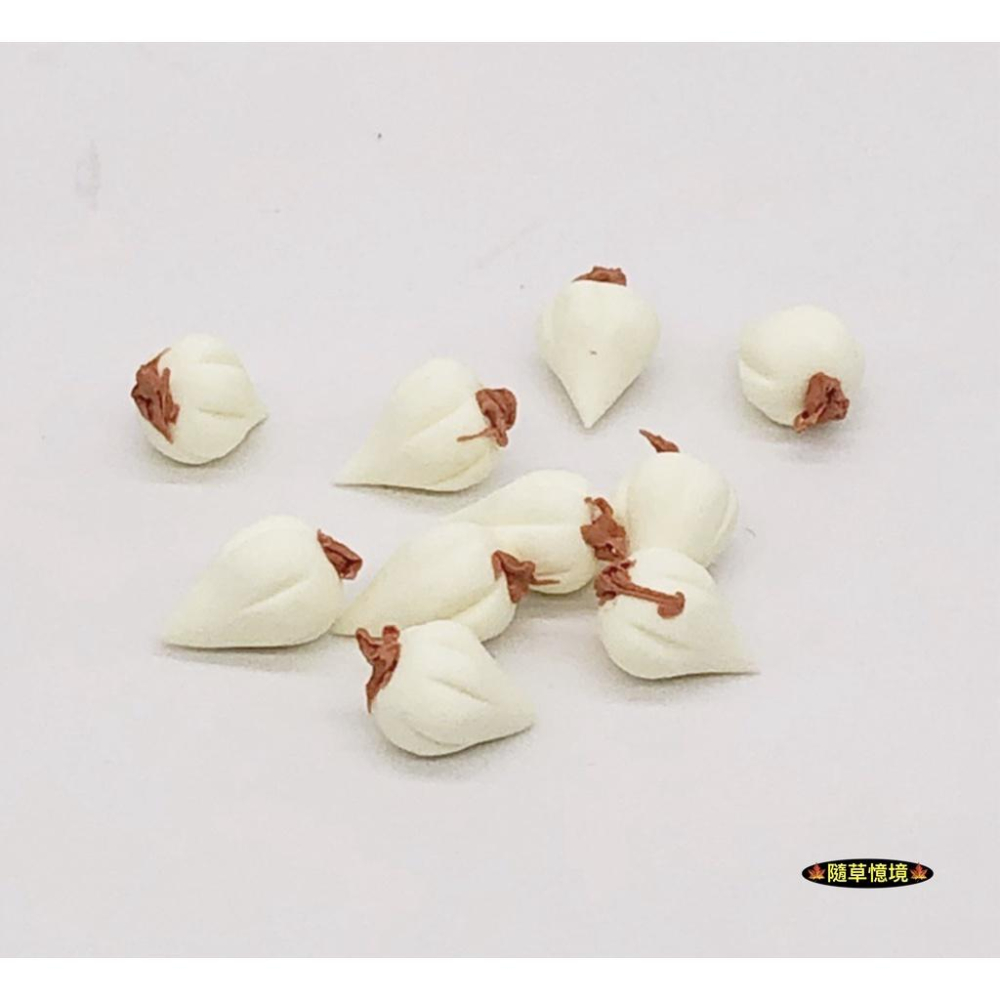 （2入/5入/10入）迷你仿真 大蒜 蒜頭 蒜 水果 蔬菜 廚房 食材 娃娃屋 袖珍 食玩 微縮場景 微景觀 模型-細節圖4