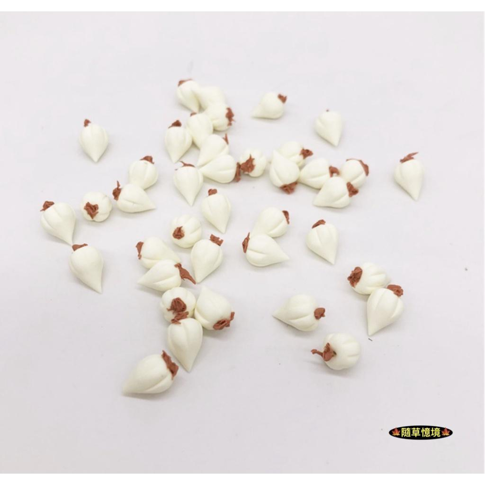 （2入/5入/10入）迷你仿真 大蒜 蒜頭 蒜 水果 蔬菜 廚房 食材 娃娃屋 袖珍 食玩 微縮場景 微景觀 模型-細節圖6