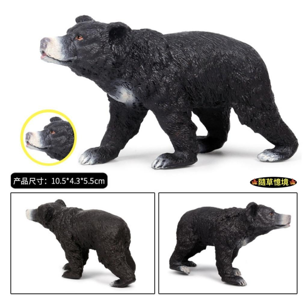 （6款）仿真 台灣黑熊 大黑熊 黑熊 小黑熊 熊 狗熊 動物模型 野生動物 兒童玩具 益智 公仔 SPG-細節圖7