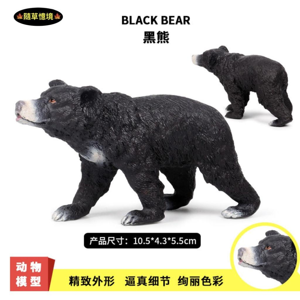 （6款）仿真 台灣黑熊 大黑熊 黑熊 小黑熊 熊 狗熊 動物模型 野生動物 兒童玩具 益智 公仔 SPG-細節圖8