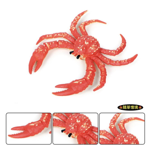 （高品質畫工）仿真 海鮮 帝王蟹 螃蟹 海蟹 蟹 蟹王 實心 紅蟹 海洋動物 模型 兒具 益智 公仔 SPG