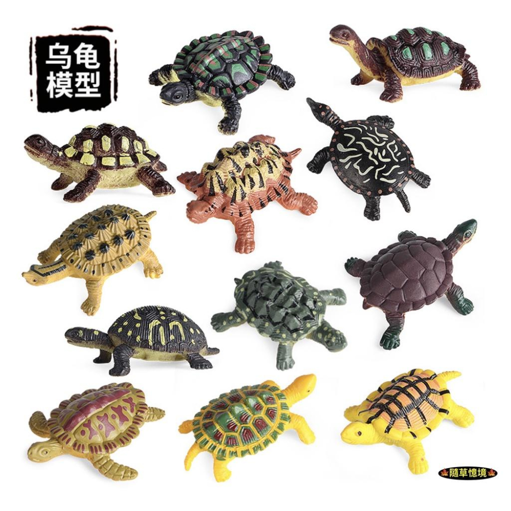 （12款）仿真 烏龜 海龜 陸龜 鱉 巴西龜 草龜 鰐龜 象龜 動物模型 野生動物 兒童玩具 益智 SPG-細節圖3